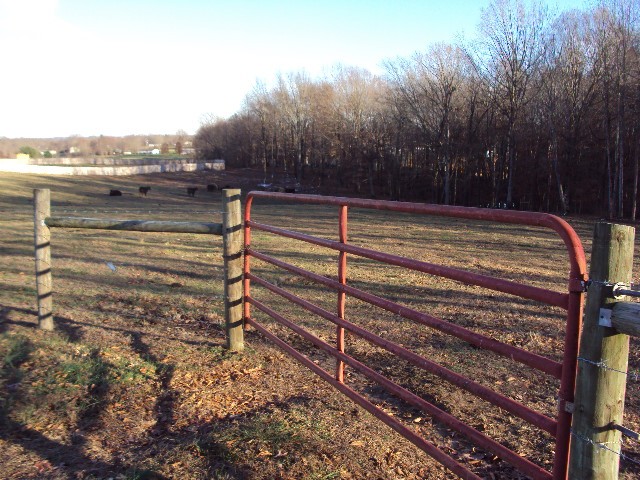 536 Sparrow Road Lafayette, TN 37083 - Photo 1 of 30 Gallery Image 1