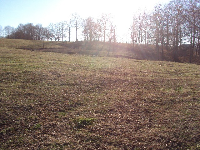 536 Sparrow Road Lafayette, TN 37083 - Photo 27 of 30 Gallery Image 27