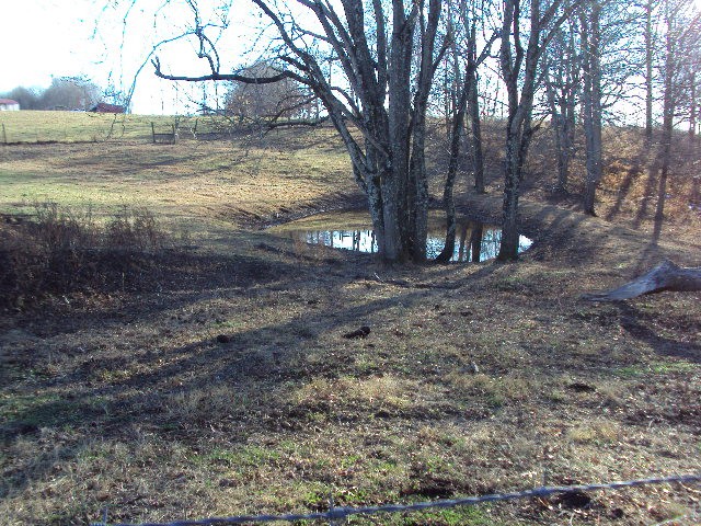 536 Sparrow Road Lafayette, TN 37083 - Photo 28 of 30 Gallery Image 28