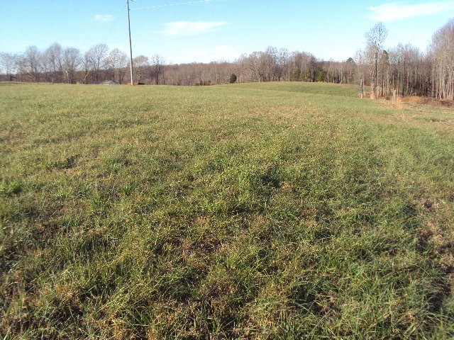 536 Sparrow Road Lafayette, TN 37083 - Photo 4 of 30 Gallery Image 4