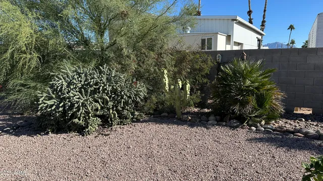 a view of a street with potted plants and large trees