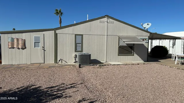 a view of a plant in a garden