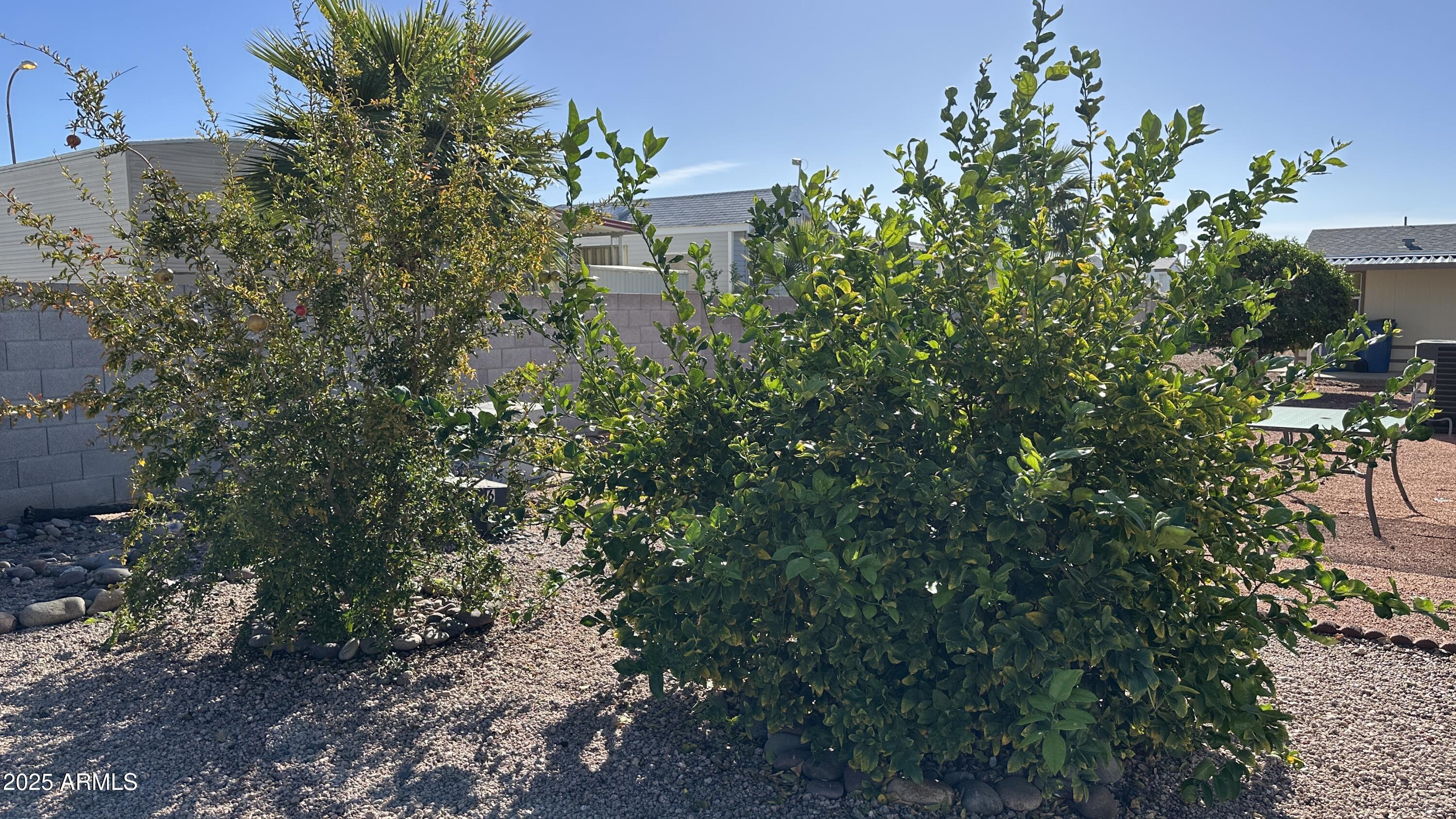 834 South Meridian Road, Unit 105 Apache Junction, AZ 85120 - Photo 21 of 45 IMG_9504