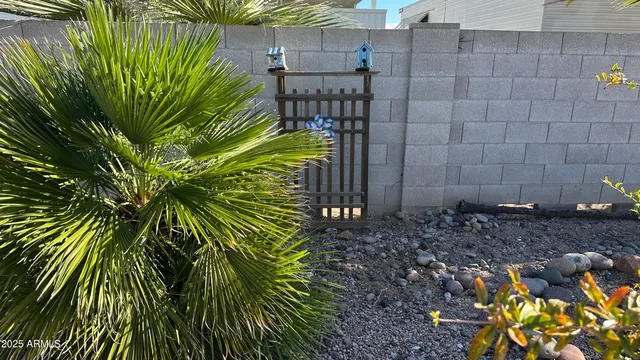 a plant that is in a garden