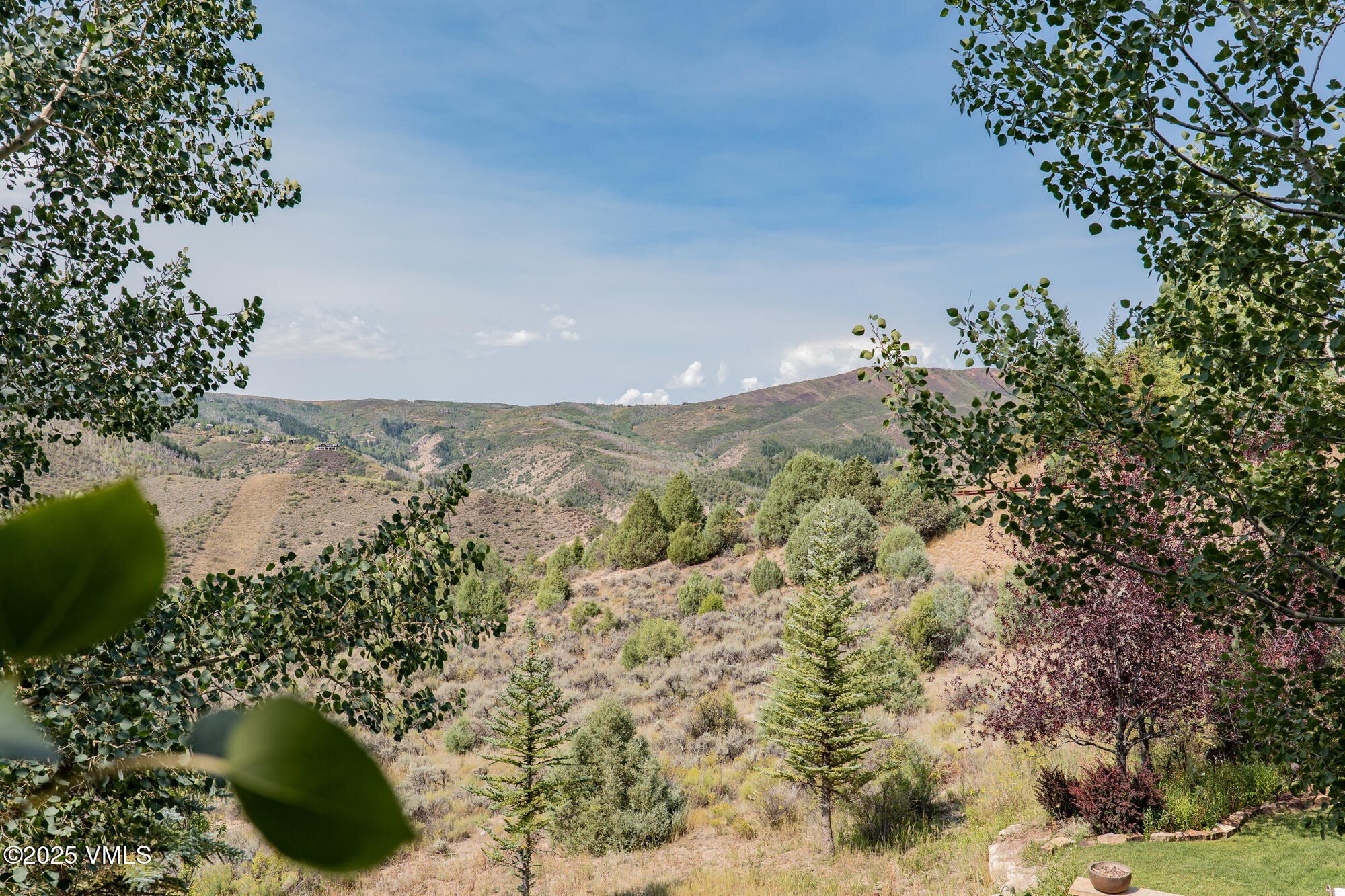 135 Andorra Road Edwards, CO 81632 - Photo 74 of 82 P1420416