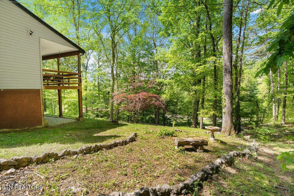 8908 Ellis Lane Powell, TN 37849 - Photo 33 of 37 a backyard of a house with lots of green space