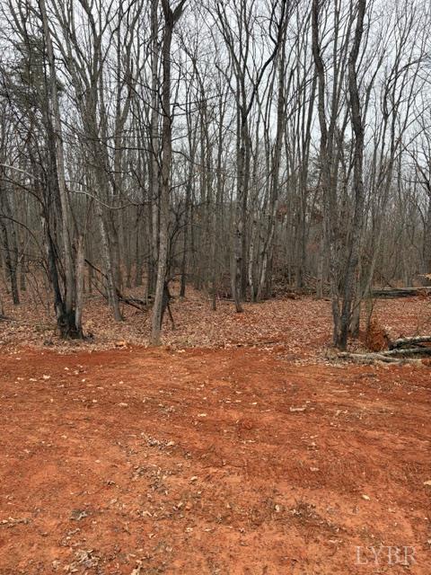 5461 Bear Creek Road Rustburg, VA 24588 - Photo 1 of 27 a backyard of a house with lots of green space