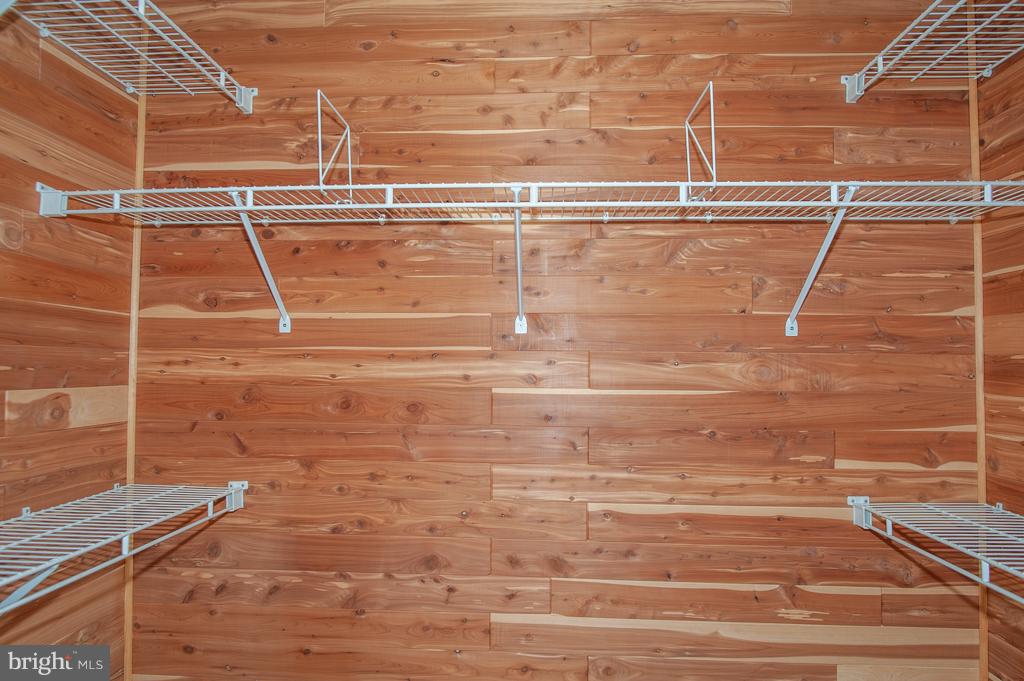 6677 Debra Lu Way Springfield, VA 22150 - Photo 17 of 29 Master Bedroom Closet