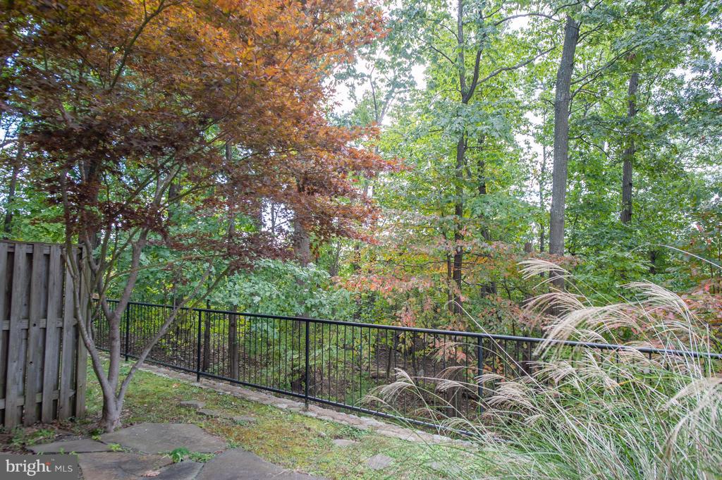 6677 Debra Lu Way Springfield, VA 22150 - Photo 29 of 29 Backyard