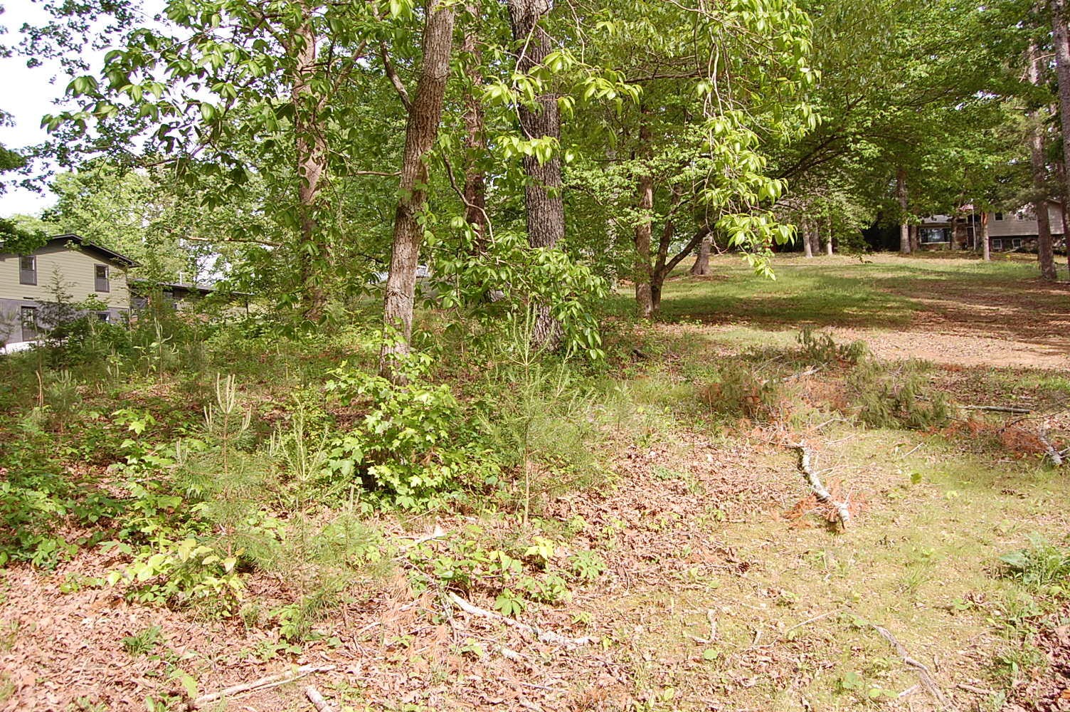 0 Carpenter Road Dunlap, TN 37327 - Photo 20 of 20 Gallery Image 20