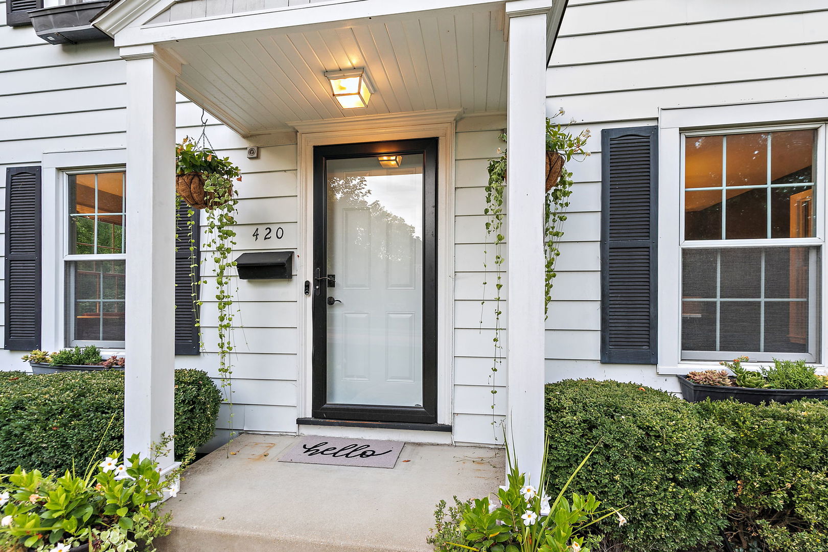 420 Gray Street St. Charles, IL 60174 - Photo 3 of 38