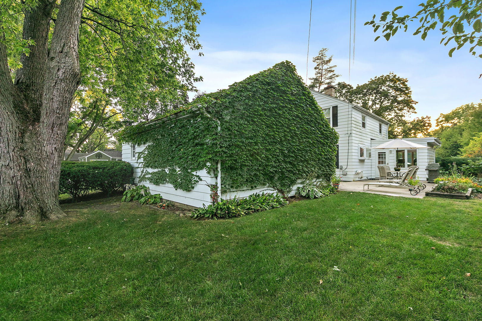 420 Gray Street St. Charles, IL 60174 - Photo 6 of 38
