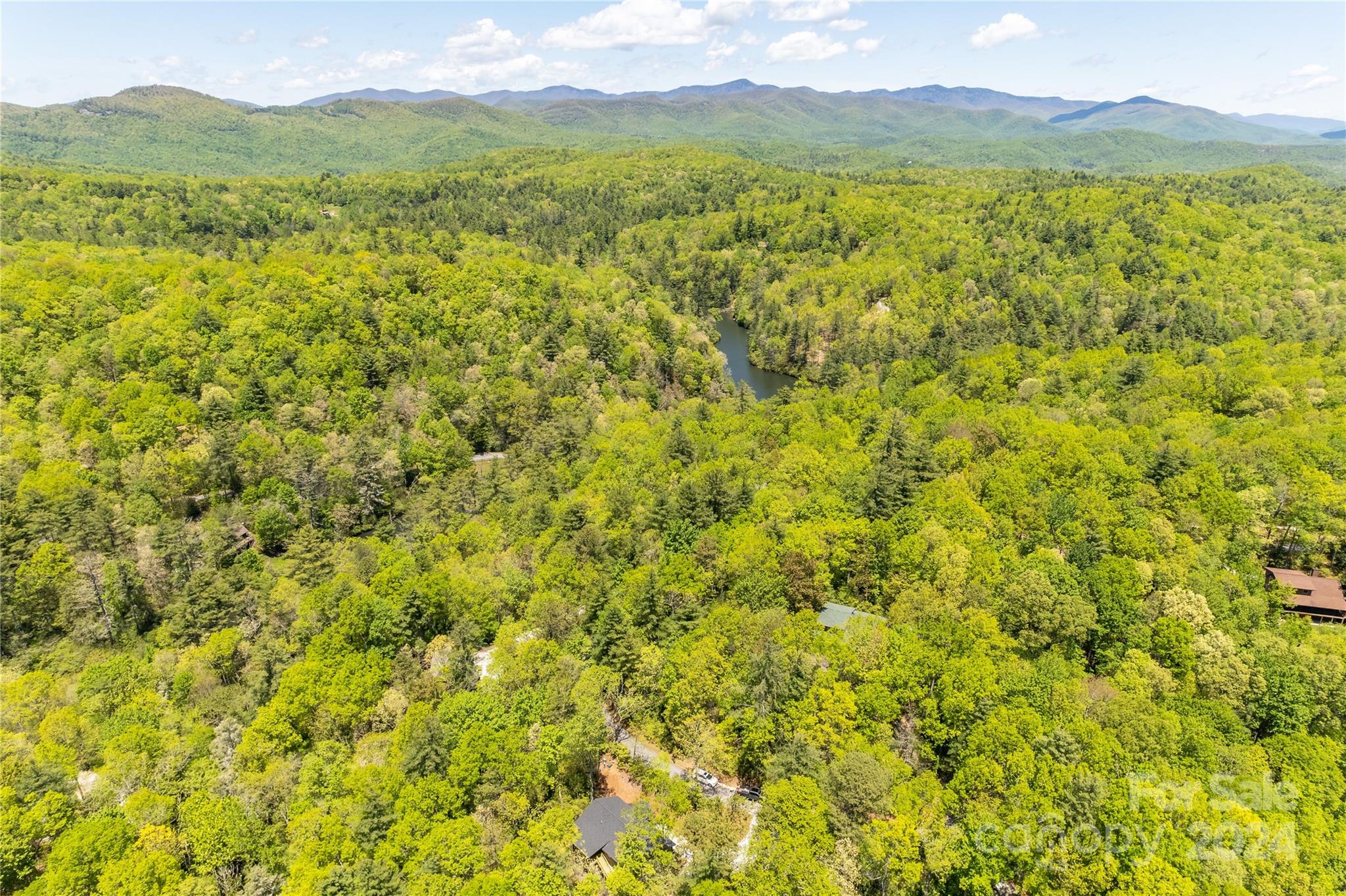Tbd Indian Lake Road, Unit 21 Lake Toxaway, NC 28747 - Photo 5 of 5