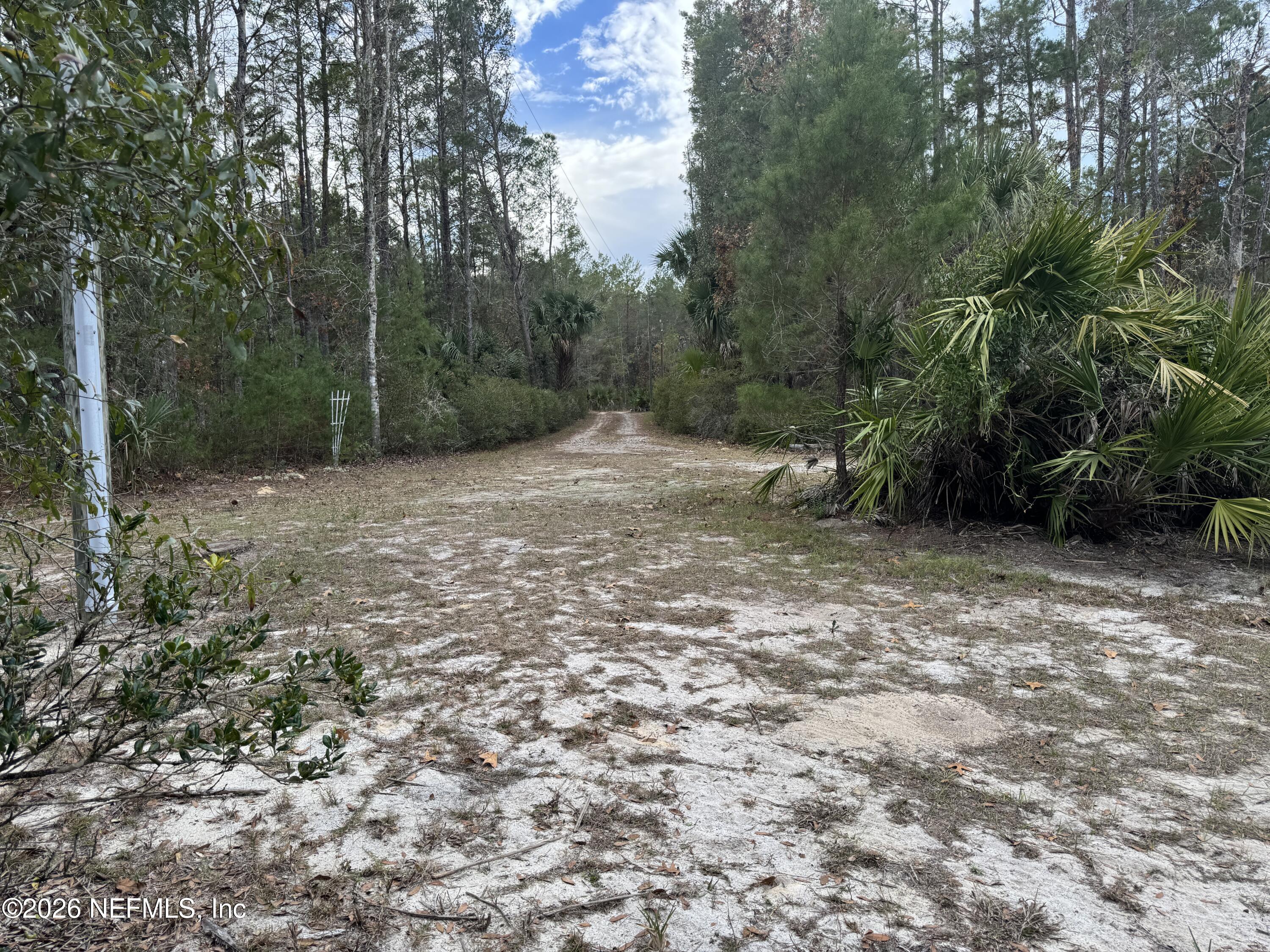 850 Cousintown Road Interlachen, FL 32148 - Photo 20 of 27 a view of a yard with trees