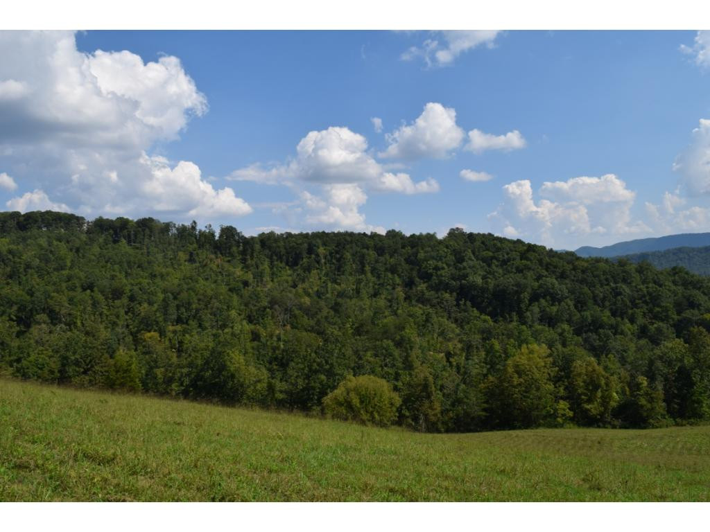 3 Raven Hill Road Tazewell, TN 37879 - Photo 8 of 13 Photo 8