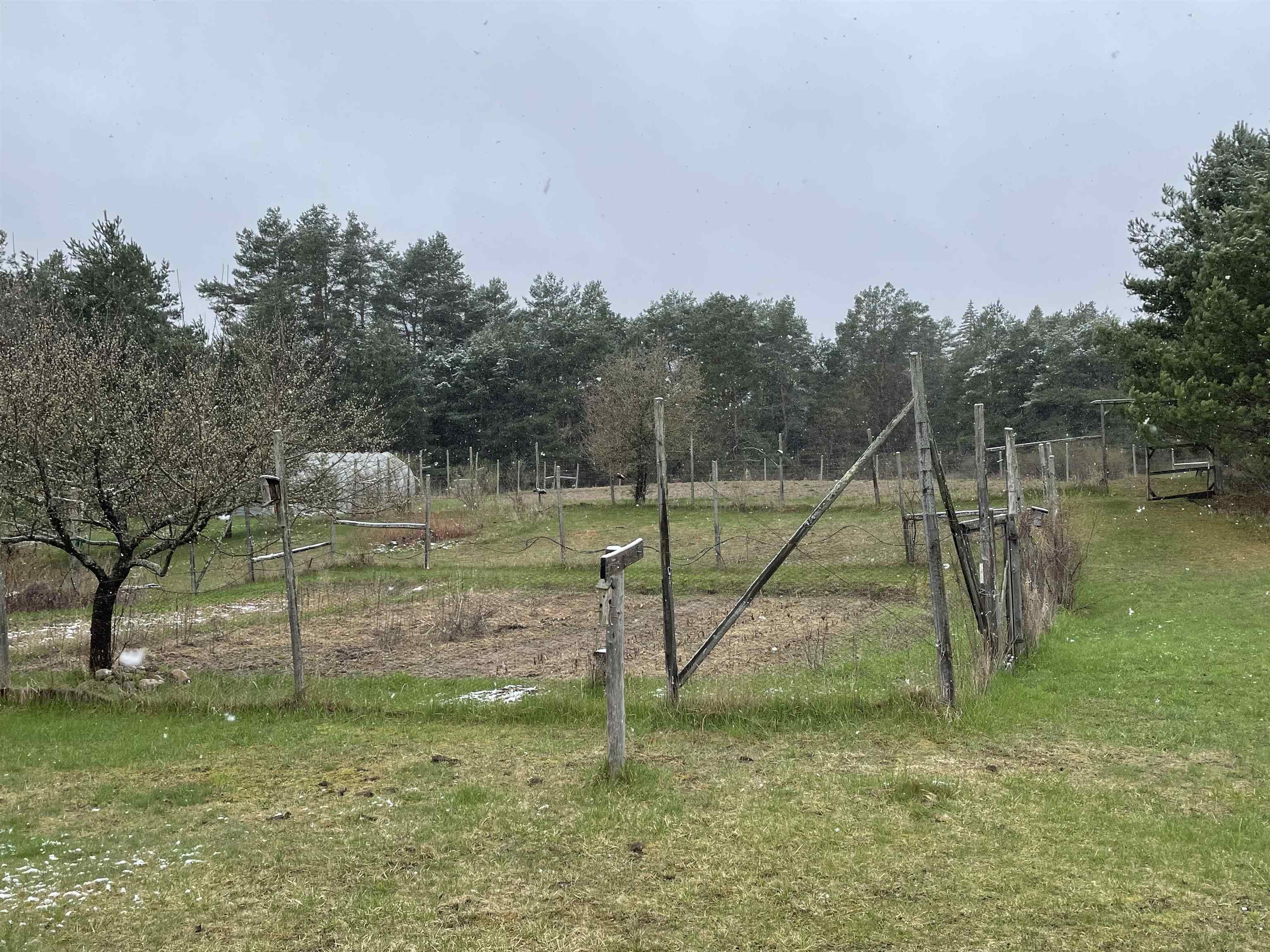 3953 Campbell Road Rose City, MI 48654 - Photo 4 of 14