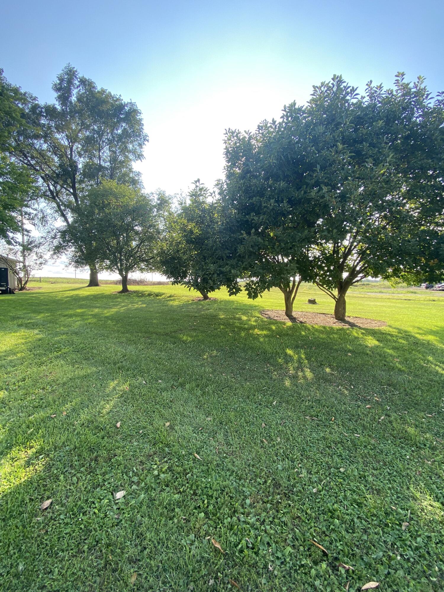 4570 Knowles Road North Adams, MI 49262 - Photo 31 of 31 rear view