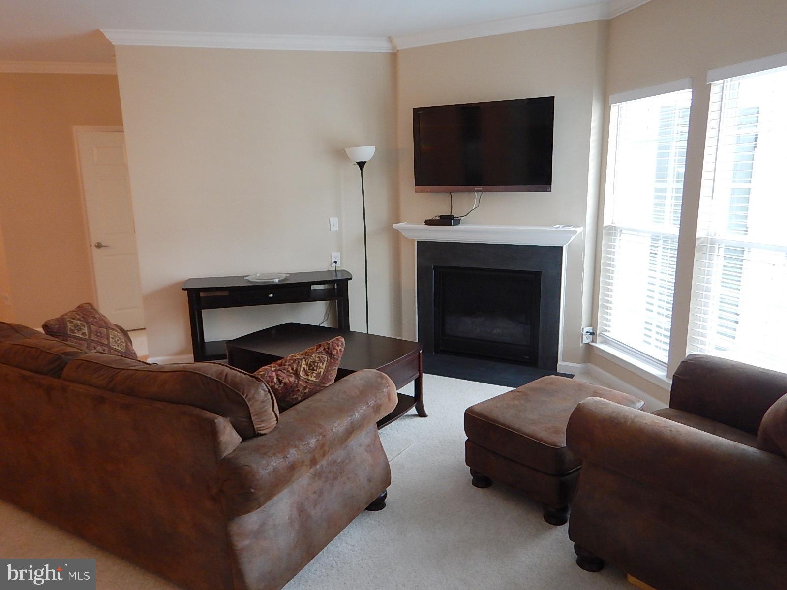 633 Wallingford Road, Unit 201 Bel Air, MD 21014 - Photo 8 of 38 Living Room and gas fireplace
