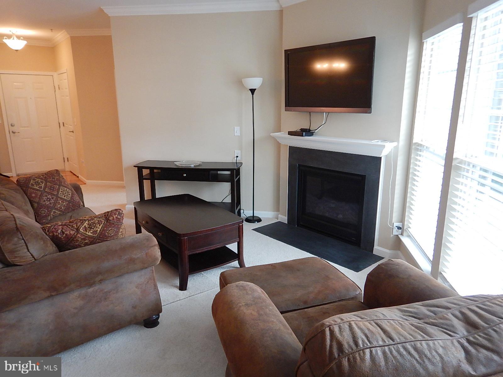 633 Wallingford Road, Unit 201 Bel Air, MD 21014 - Photo 9 of 38 Living Room and gas fireplace