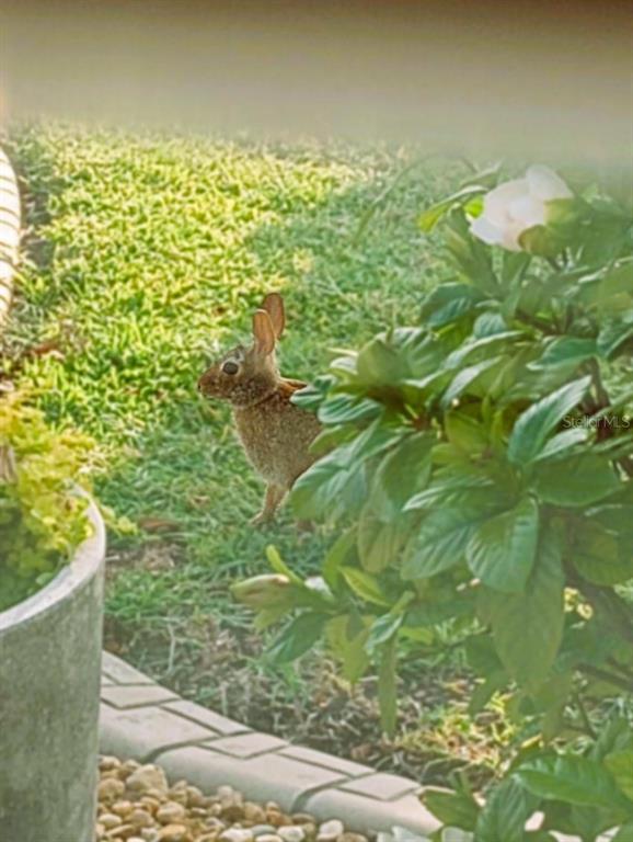 15858 Southwest 11th Court Road Ocala, FL 34473 - Photo 40 of 59