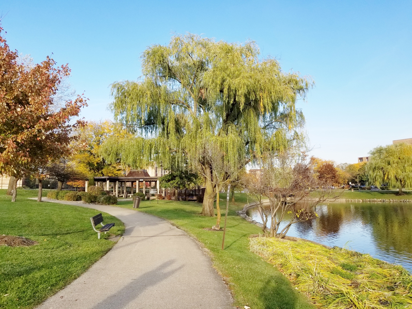 725 West Huntington Commons Road, Unit 416 Mount Prospect, IL 60056 - Photo 15 of 17 a view of a lake with houses