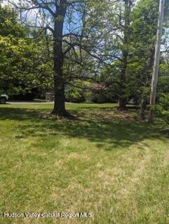 2 Shokan Park Road Shokan, NY 12481 - Photo 28 of 42 a view of a trees with a yard