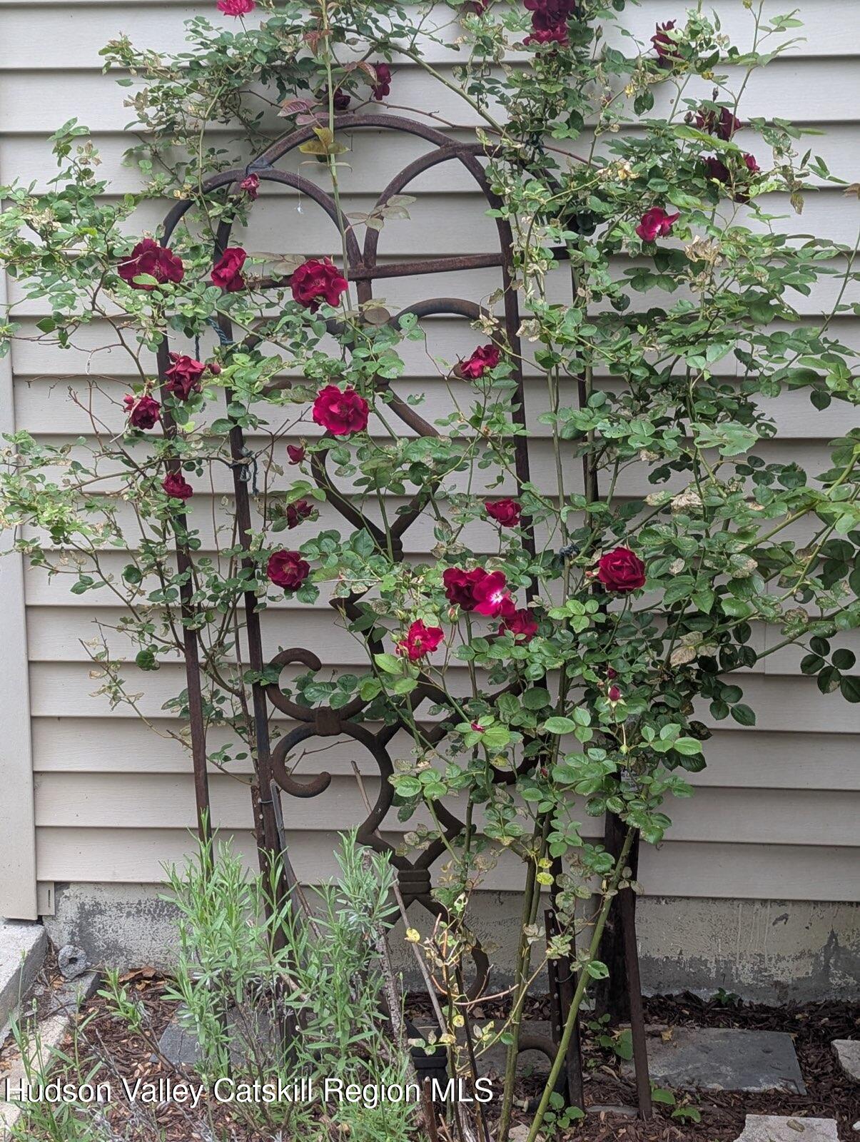 2 Shokan Park Road Shokan, NY 12481 - Photo 33 of 42 a view of front of flowers