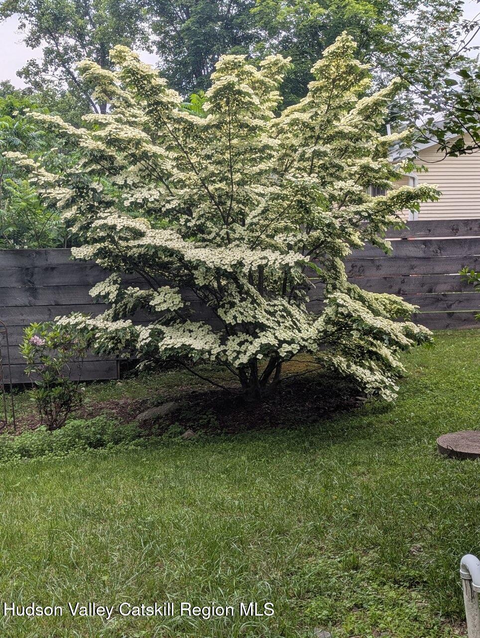 2 Shokan Park Road Shokan, NY 12481 - Photo 42 of 42 a view of a yard