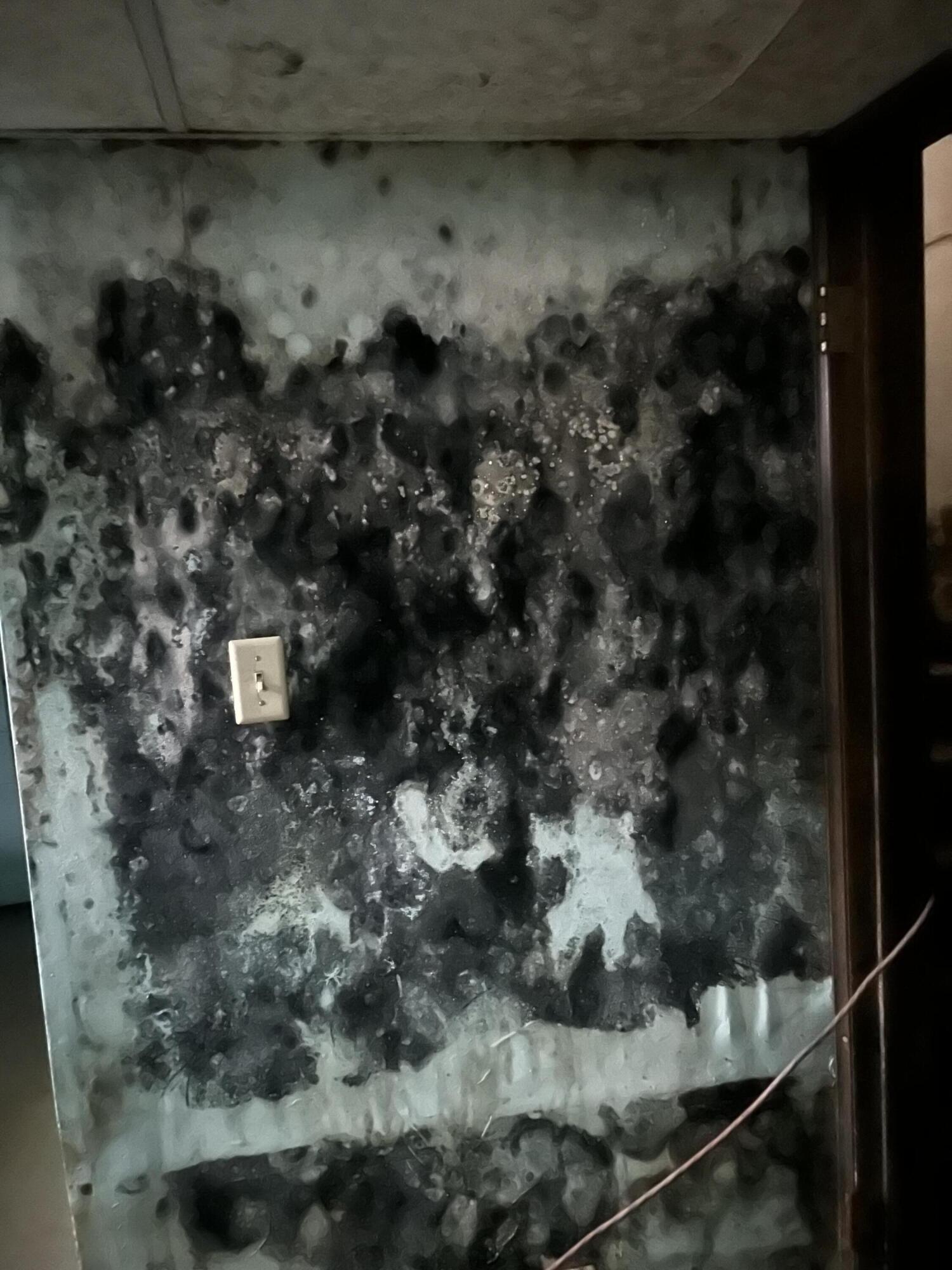 1684 Sherwood Road Williamston, MI 48895 - Photo 17 of 18 IMG_4726