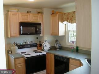 110 Greenhill Road Springfield, PA 19064 - Photo 5 of 6