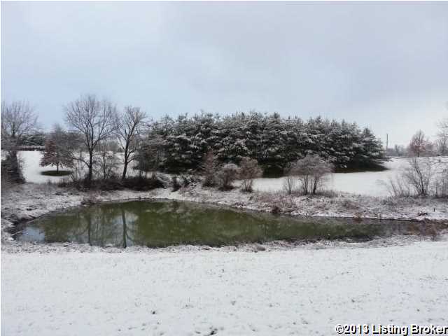 222 Brashears Point Road Taylorsville, KY 40071 - Photo 31 of 33 Pond