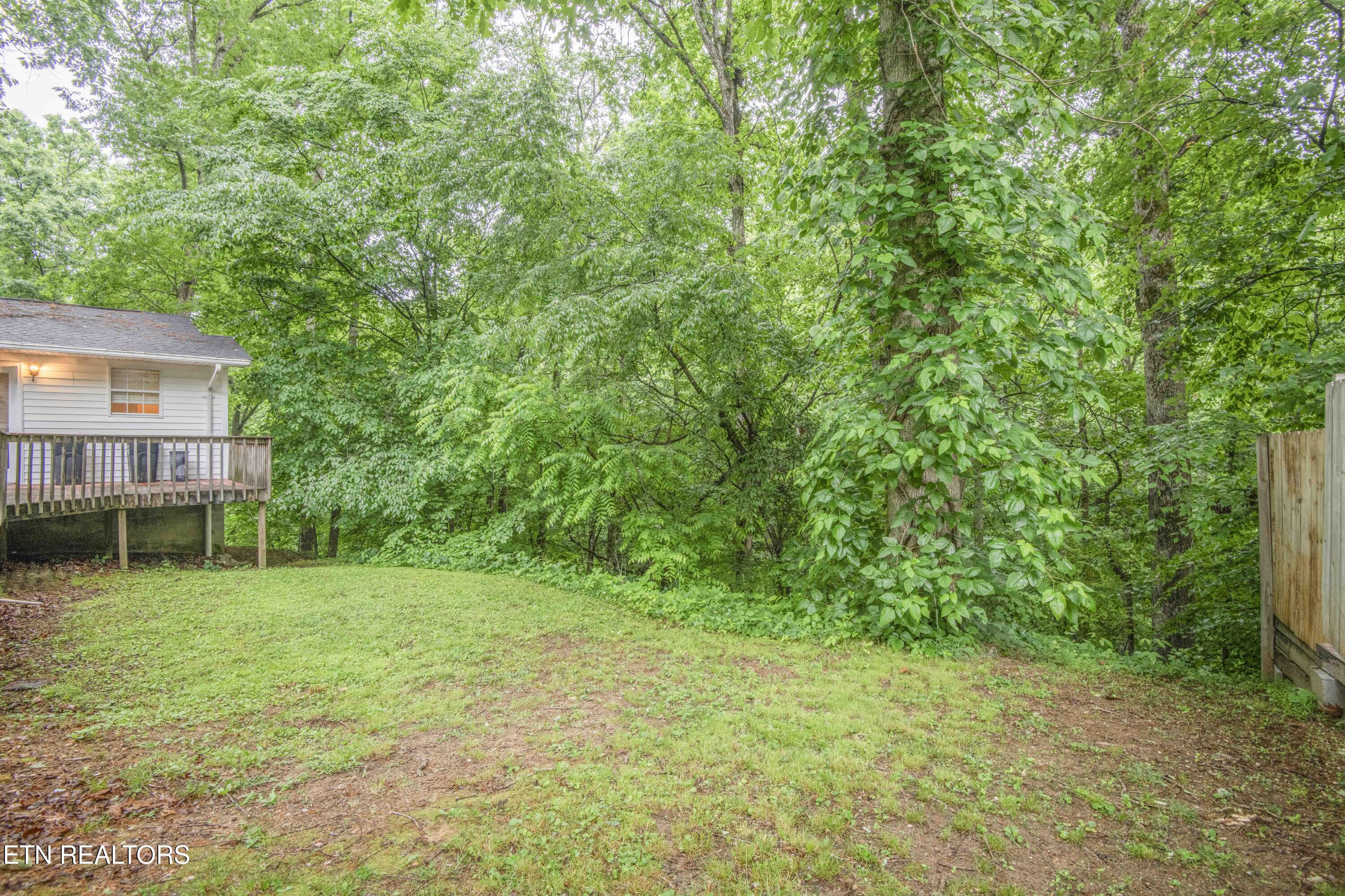 223 White Oak Lane Heiskell, TN 37754 - Photo 38 of 43 yard 4_1
