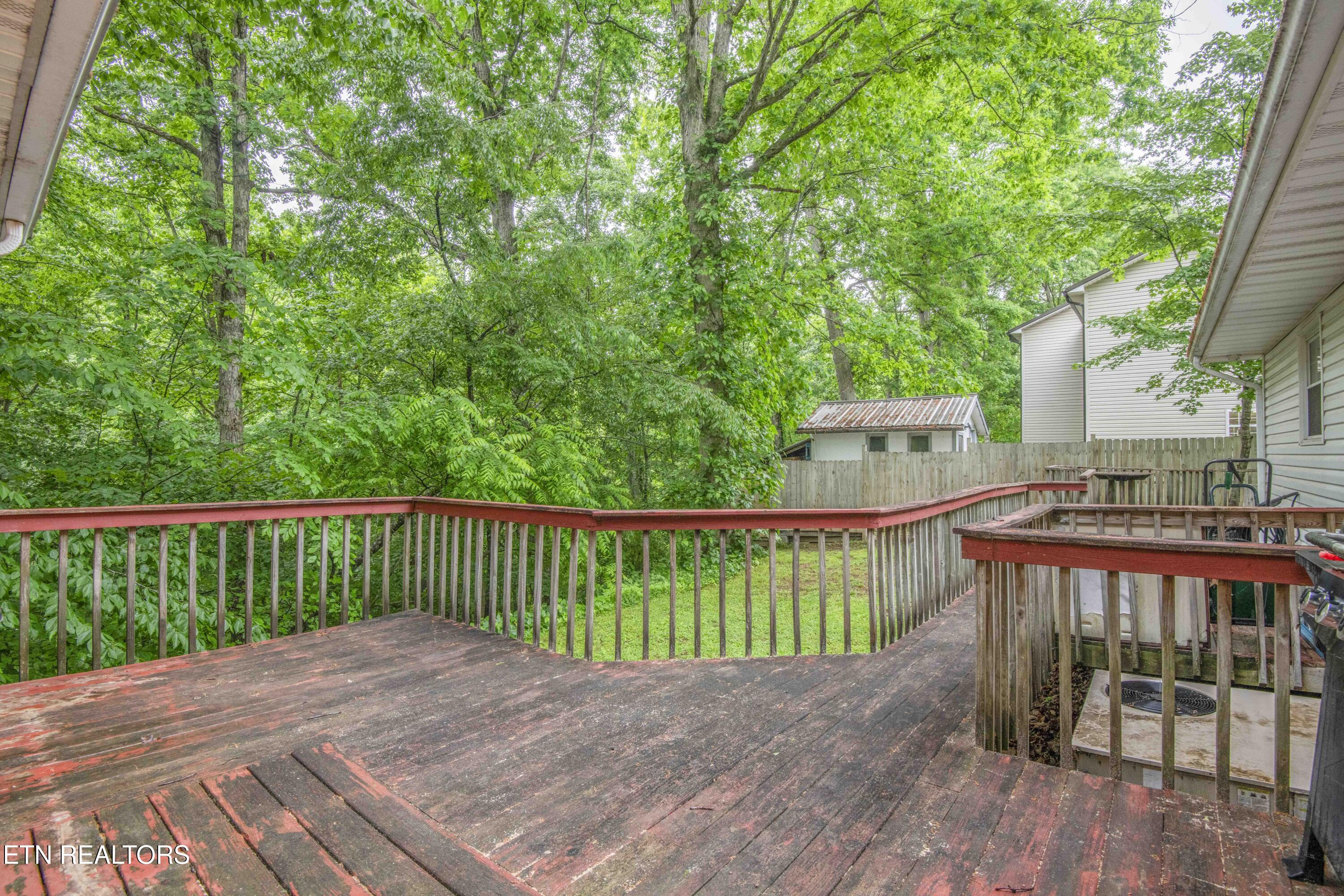 223 White Oak Lane Heiskell, TN 37754 - Photo 43 of 43 yard_1