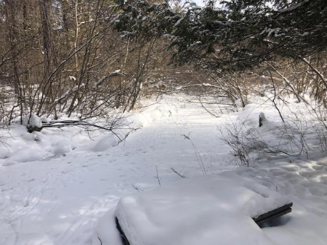 11 11 Mile Road Remus, MI 49340 - Photo 12 of 24 8
