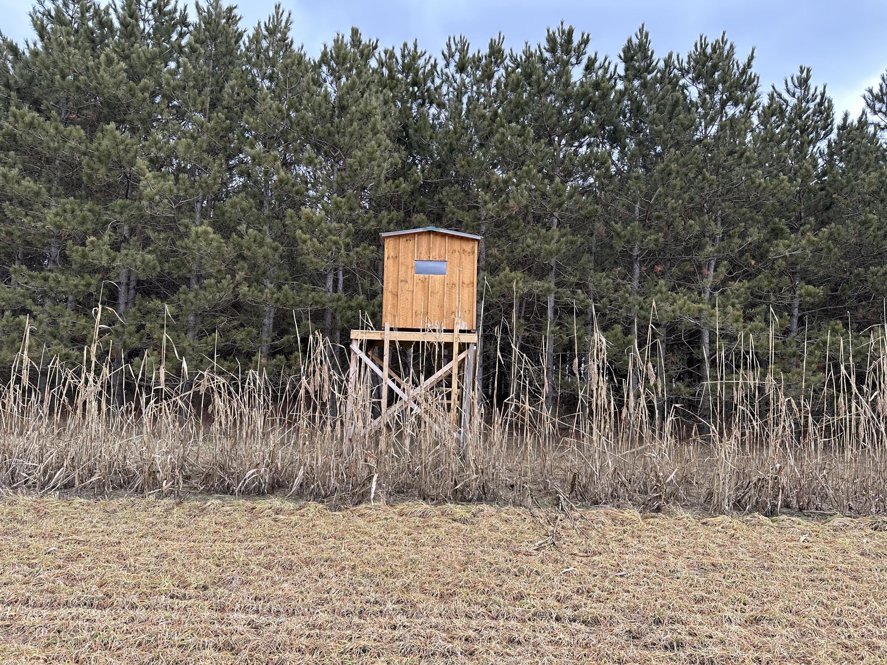 11 11 Mile Road Remus, MI 49340 - Photo 5 of 24 IMG_0034