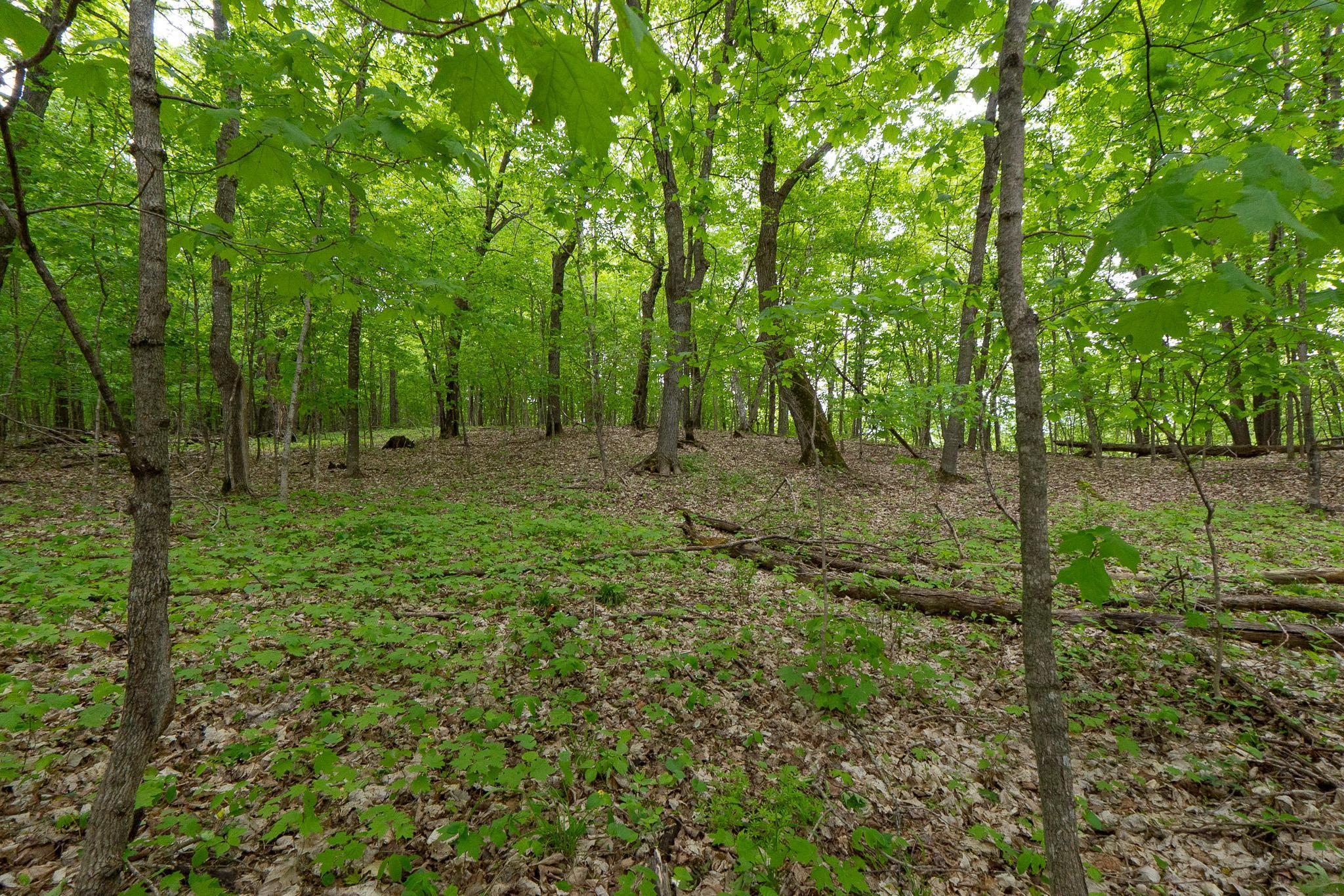 Lot 9-tbd Northeast Rock Lake Road Rochert, MN 56578 - Photo 11 of 29