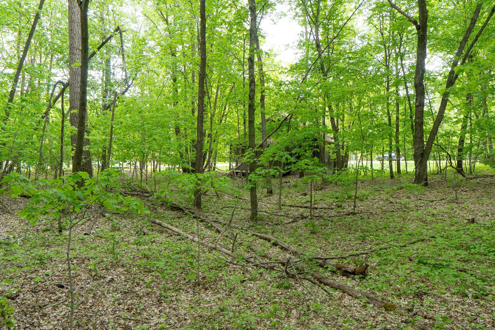 Lot 9-tbd Northeast Rock Lake Road Rochert, MN 56578 - Photo 12 of 29