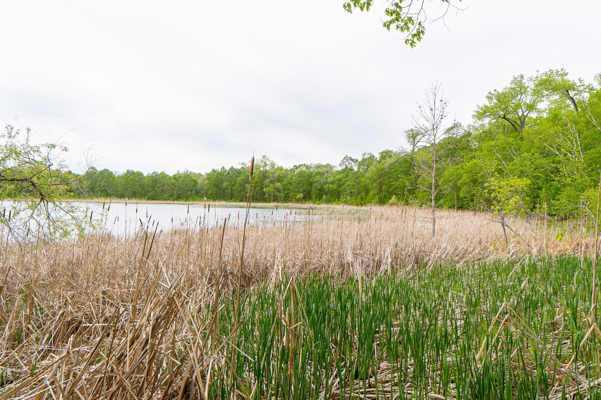 Lot 9-tbd Northeast Rock Lake Road Rochert, MN 56578 - Photo 16 of 29