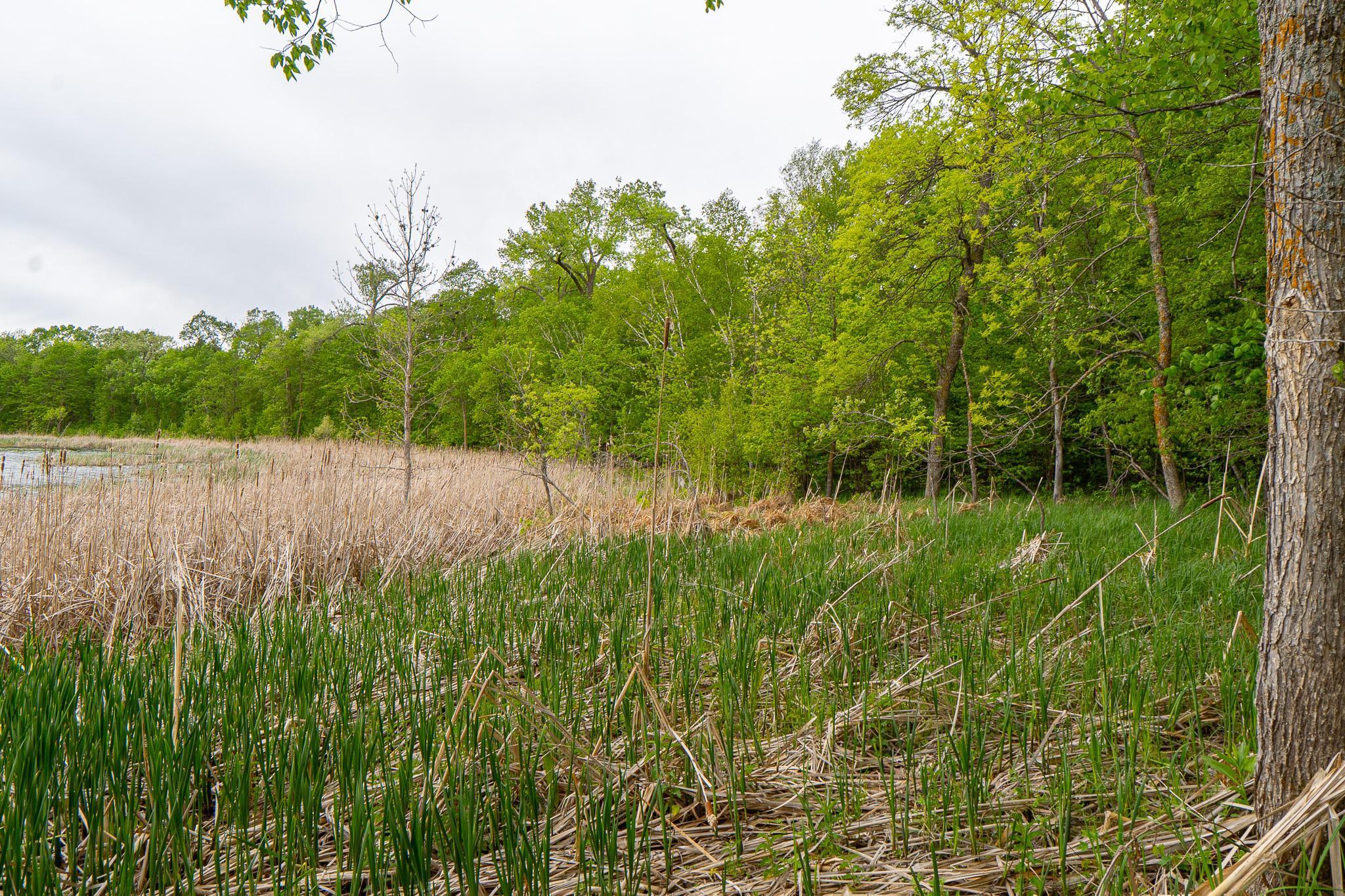 Lot 9-tbd Northeast Rock Lake Road Rochert, MN 56578 - Photo 17 of 29