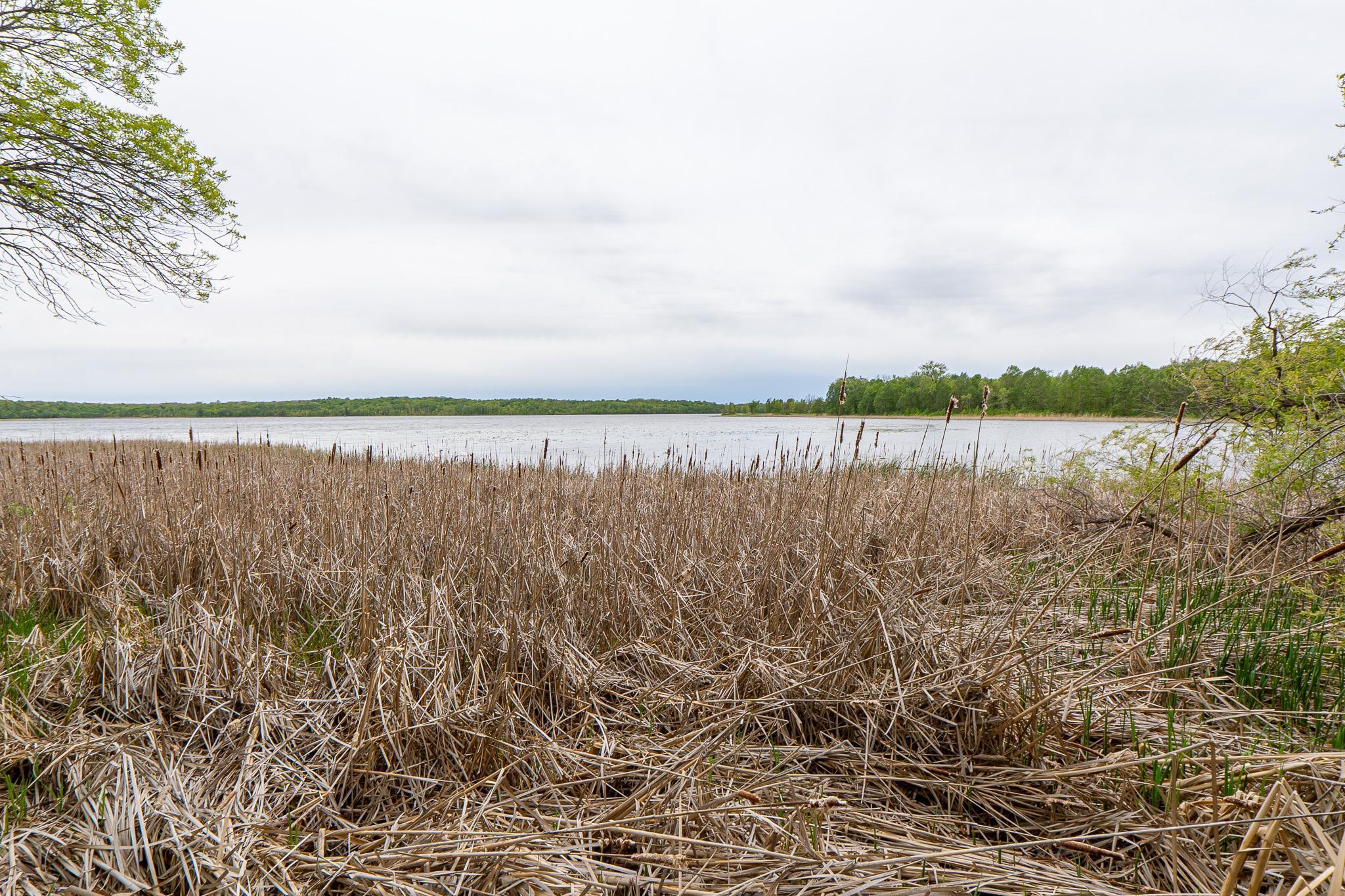 Lot 9-tbd Northeast Rock Lake Road Rochert, MN 56578 - Photo 18 of 29