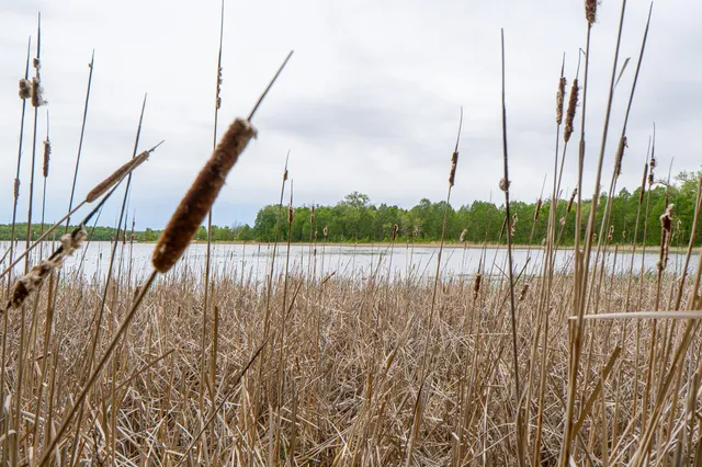 $86,000 | Lot 9-tbd Northeast Rock Lake Road, Rochert, MN 56578
