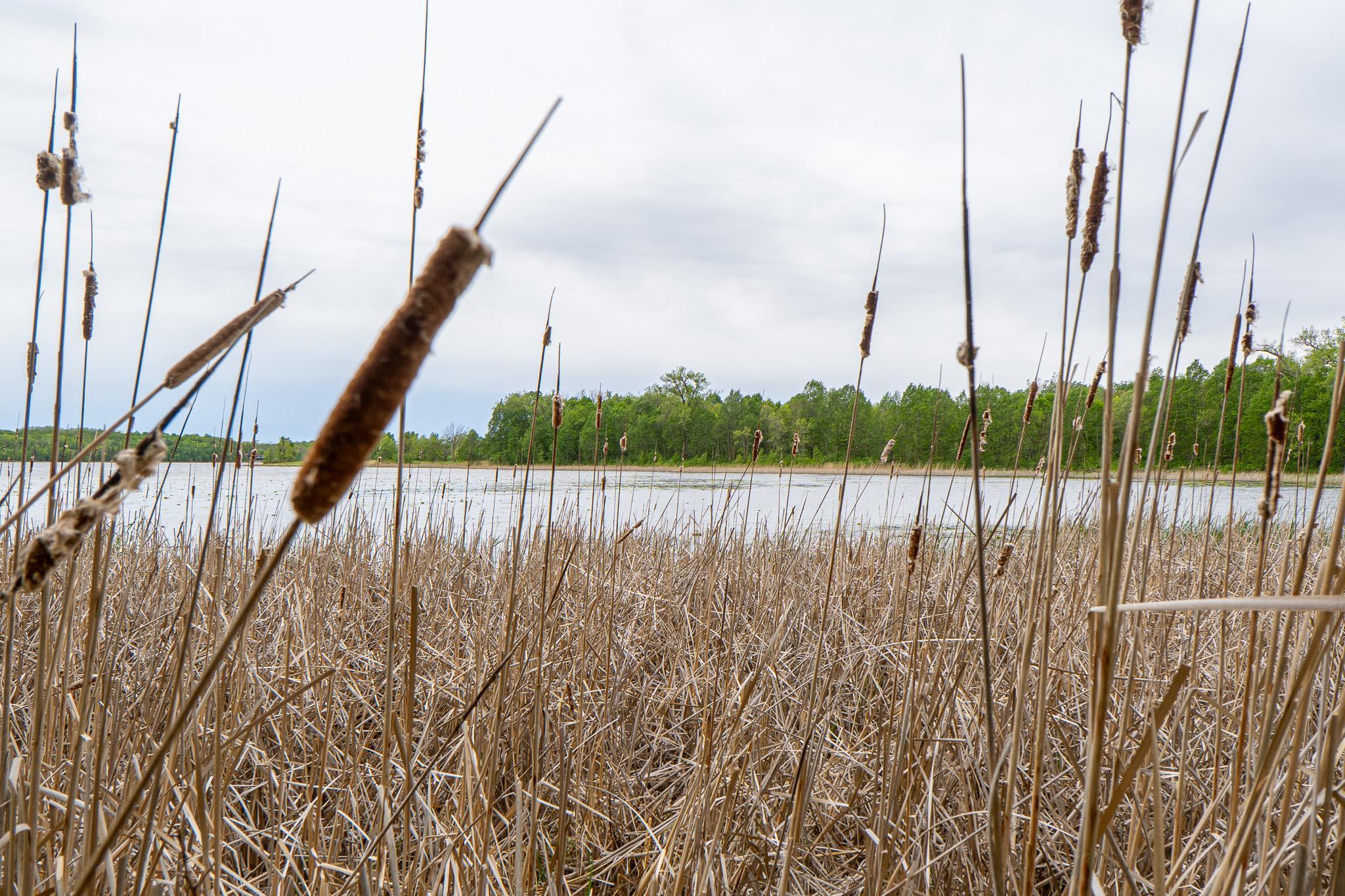 Lot 9-tbd Northeast Rock Lake Road Rochert, MN 56578 - Photo 21 of 29