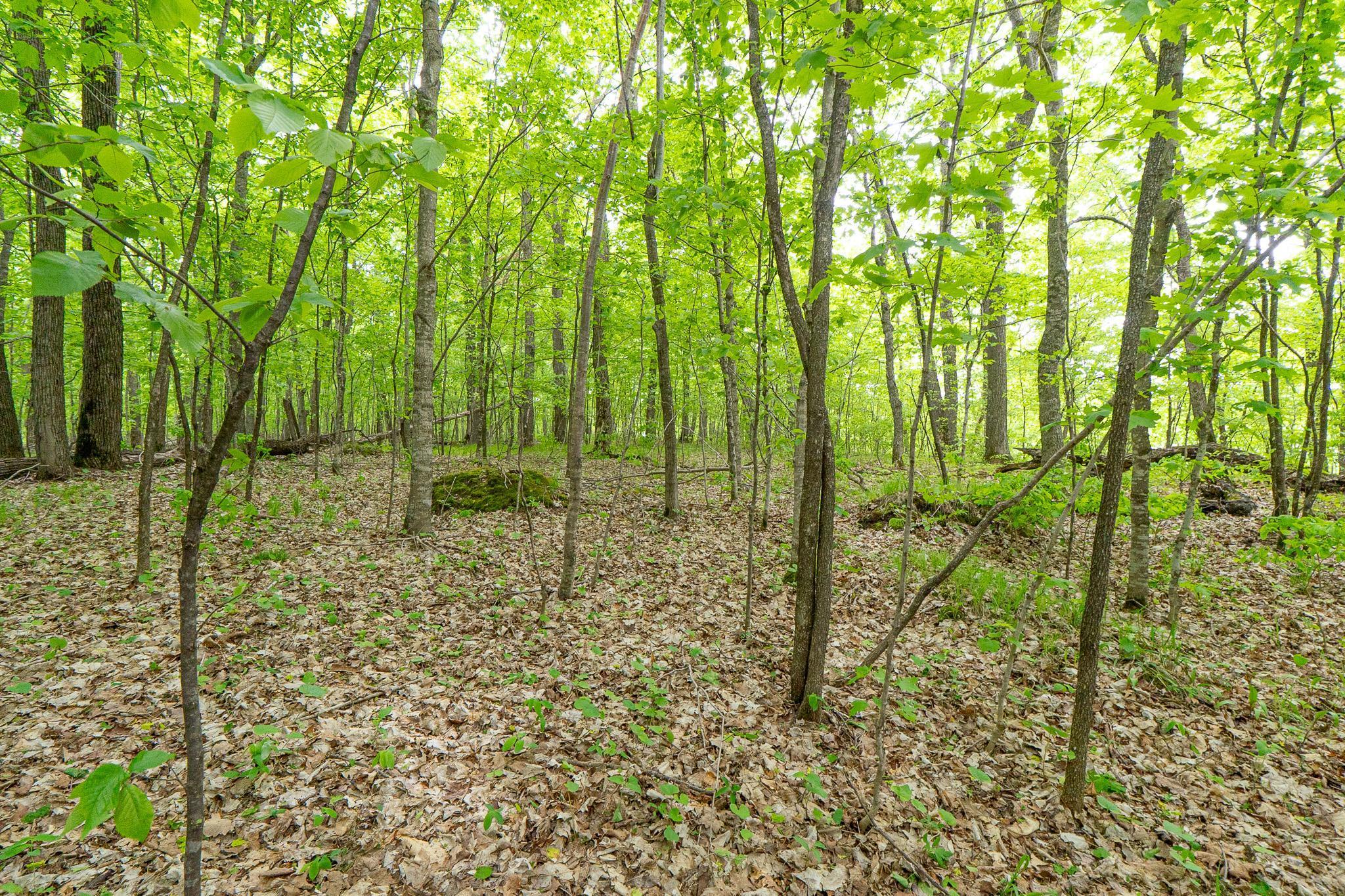 Lot 9-tbd Northeast Rock Lake Road Rochert, MN 56578 - Photo 24 of 29