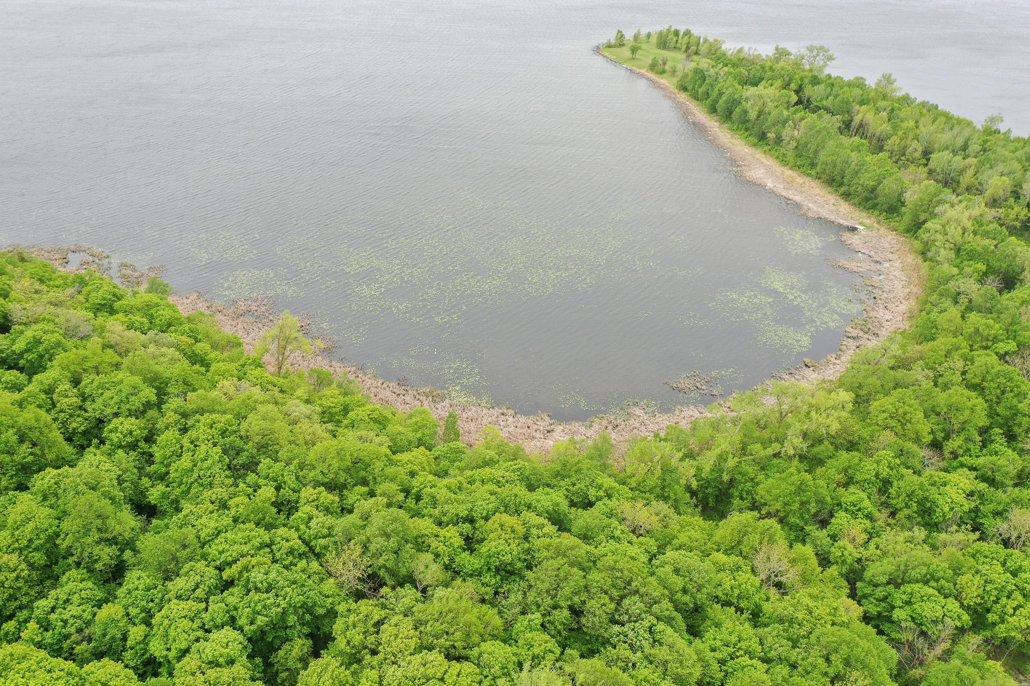 Lot 9-tbd Northeast Rock Lake Road Rochert, MN 56578 - Photo 3 of 29
