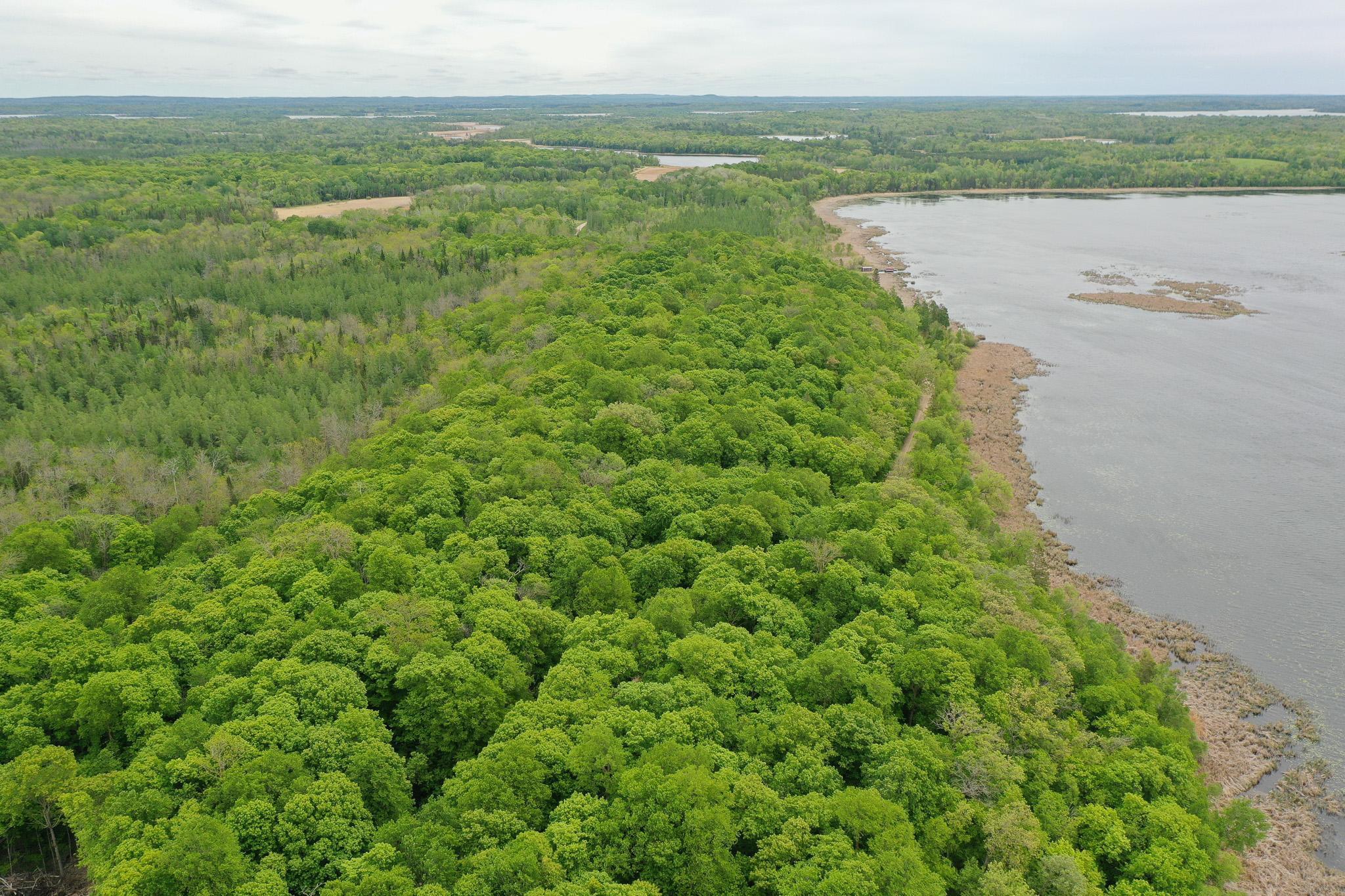 Lot 9-tbd Northeast Rock Lake Road Rochert, MN 56578 - Photo 5 of 29