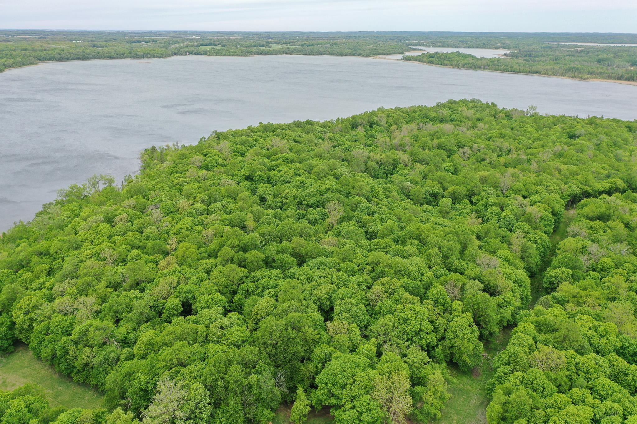 Lot 9-tbd Northeast Rock Lake Road Rochert, MN 56578 - Photo 8 of 29