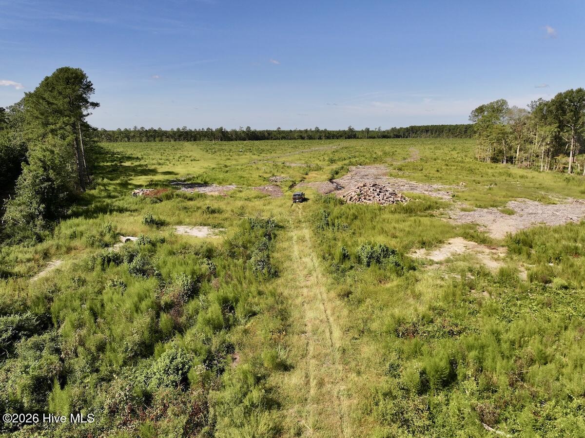 0 Rooks Road Gates, NC 27937 - Photo 16 of 29 Gallery Image 16