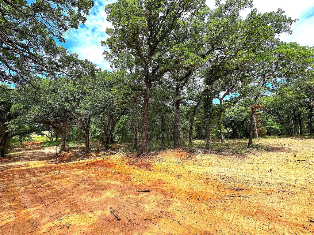 Tbd Turpin Lake Road Poolville, TX 76487 - Photo 14 of 26