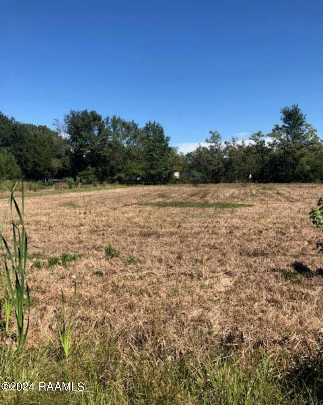 131 Reggie Road Duson, LA 70529 - Photo 1 of 1 Land