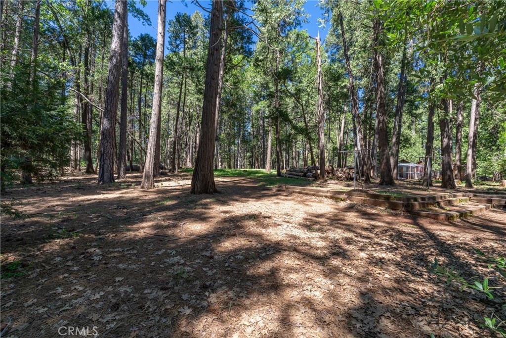 4715 Cody Lane Forest Ranch, CA 95942 - Photo 61 of 75